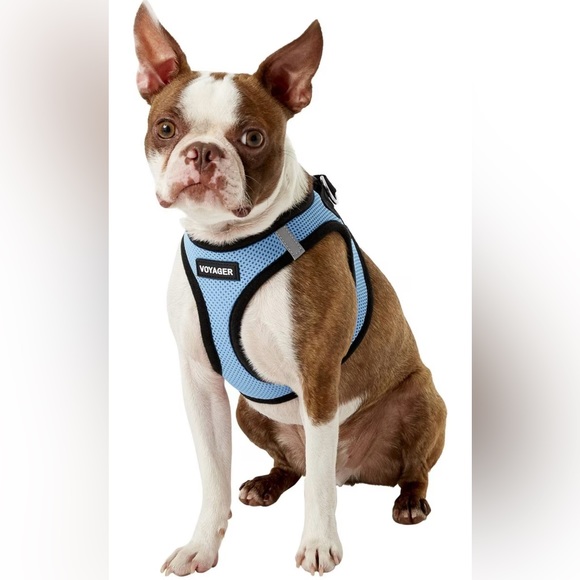 Voyager Black Trim Mesh Dog Harness - Size S - Picture 10 of 16